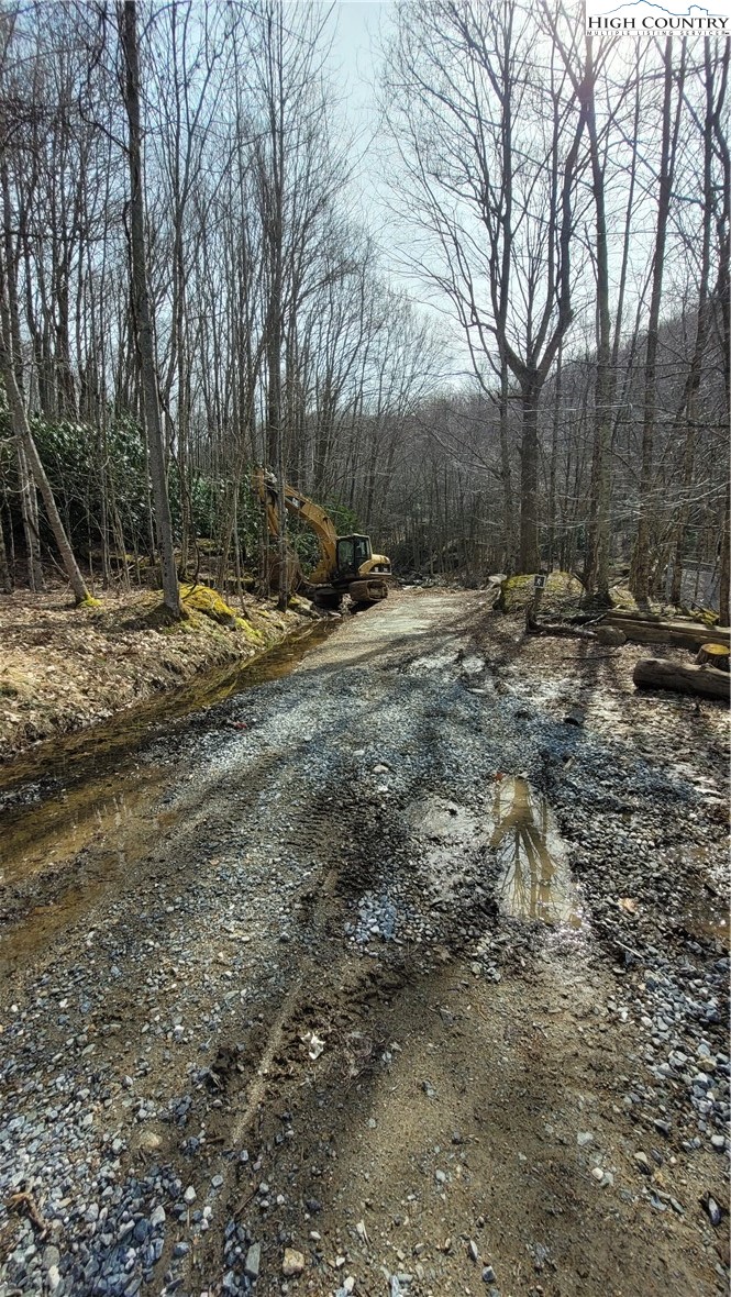 327 Locust Ridge Road Beech Mountain, NC 28604 - Photo 11 of 27 a view of a yard with a tree