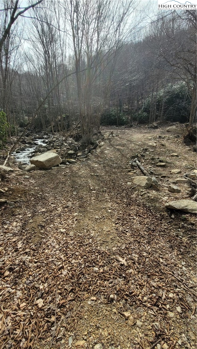 327 Locust Ridge Road Beech Mountain, NC 28604 - Photo 13 of 27 a view of a dry yard with trees