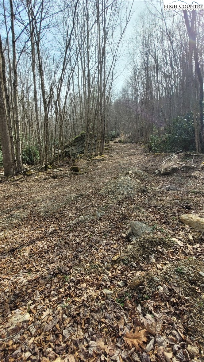 327 Locust Ridge Road Beech Mountain, NC 28604 - Photo 14 of 27 a view of backyard with tree