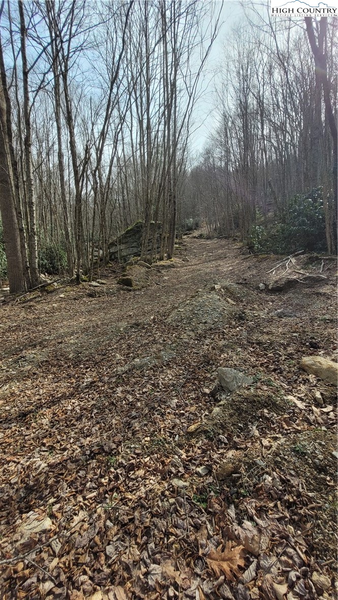 327 Locust Ridge Road Beech Mountain, NC 28604 - Photo 15 of 27 a view of backyard with green space