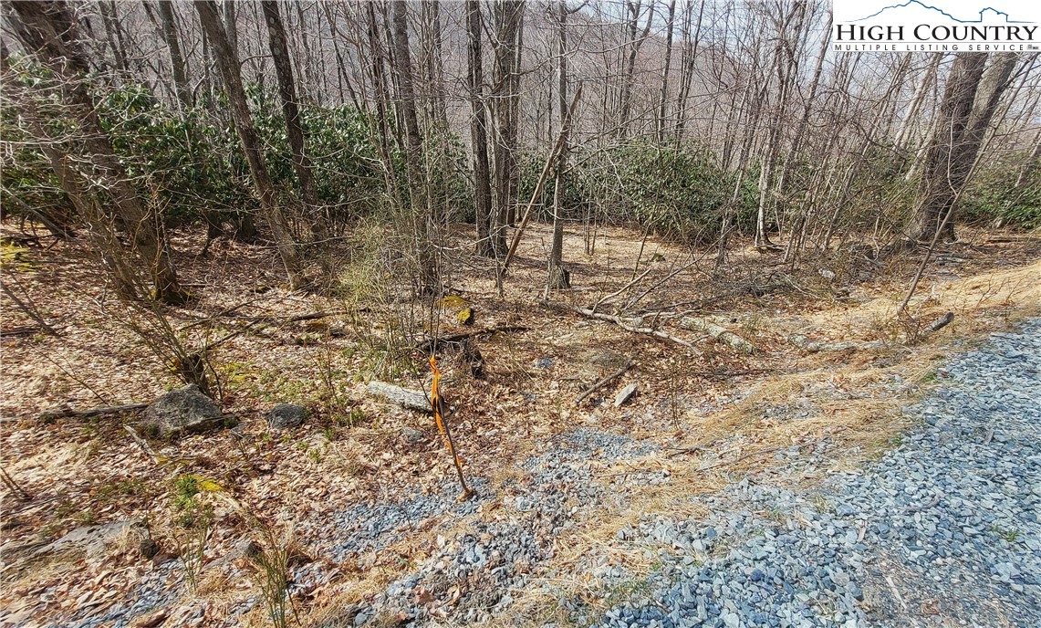 327 Locust Ridge Road Beech Mountain, NC 28604 - Photo 19 of 27 a view of plant in a yard