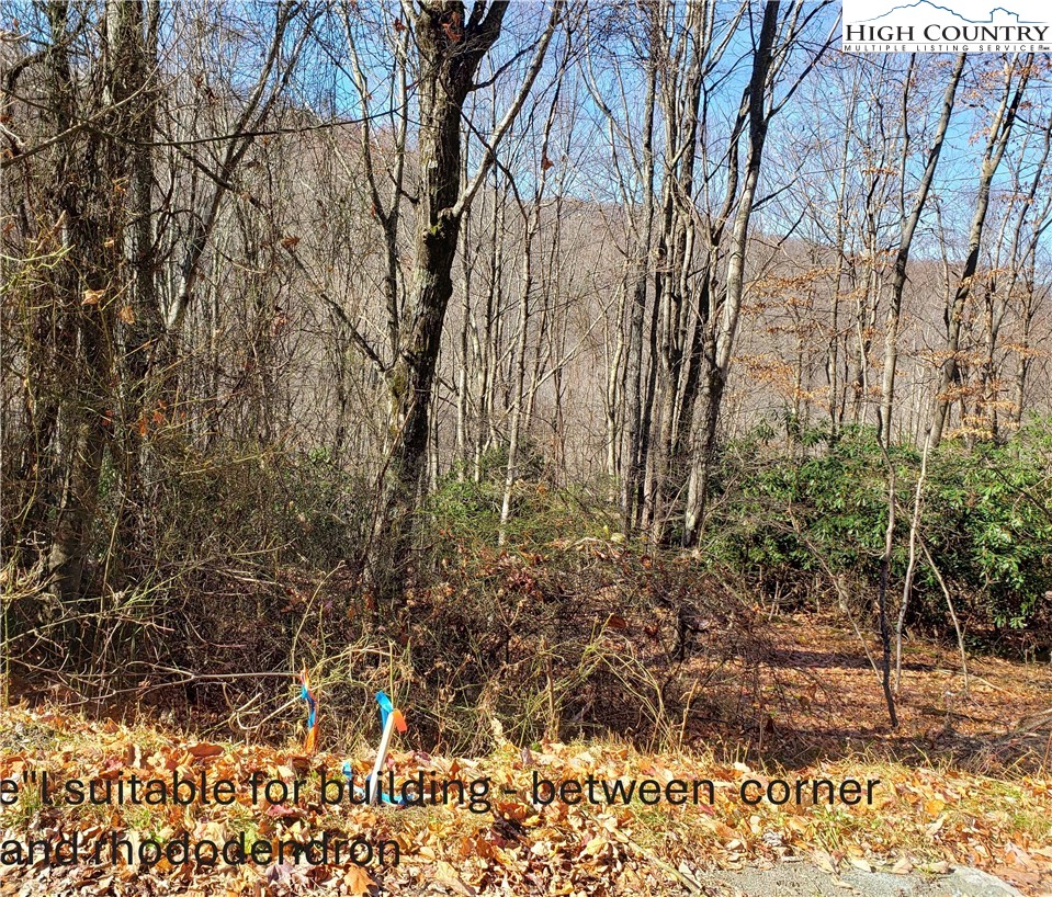327 Locust Ridge Road Beech Mountain, NC 28604 - Photo 20 of 27 a view of a yard with plants