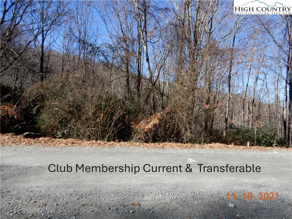 327 Locust Ridge Road Beech Mountain, NC 28604 - Photo 2 of 27