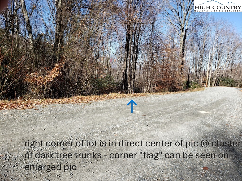 327 Locust Ridge Road Beech Mountain, NC 28604 - Photo 22 of 27 a view of a dry yard with trees
