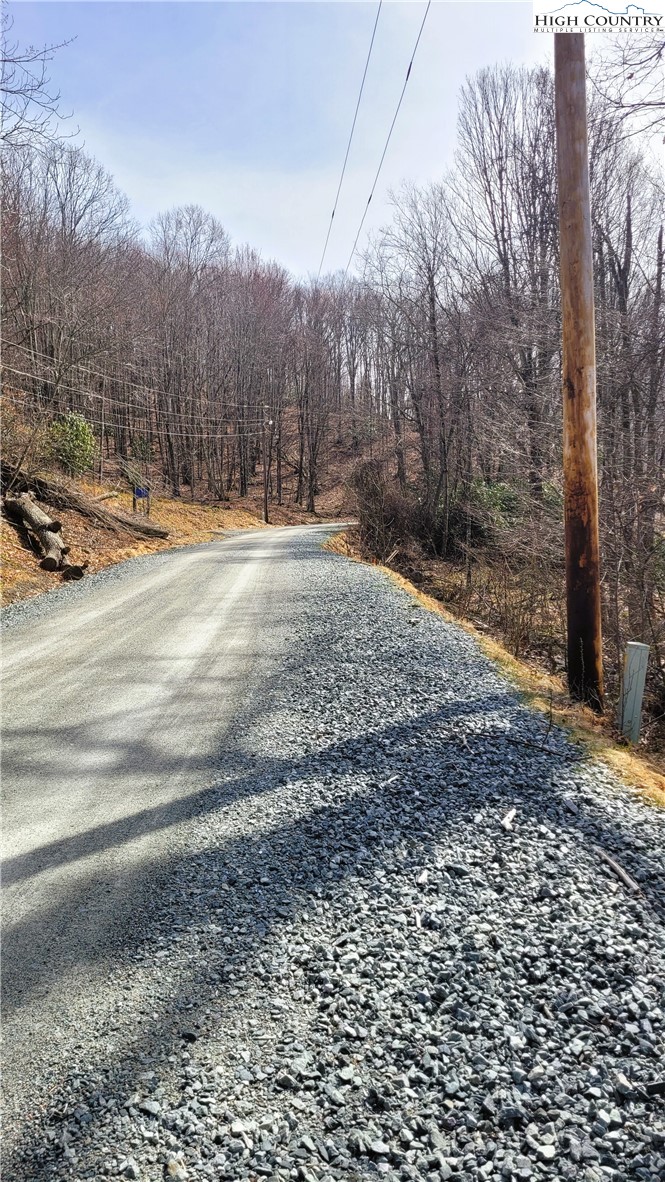 327 Locust Ridge Road Beech Mountain, NC 28604 - Photo 23 of 27 a view of a yard with trees