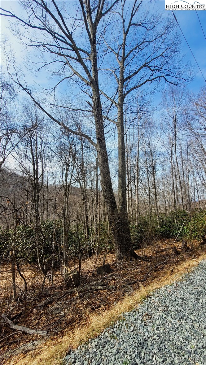 327 Locust Ridge Road Beech Mountain, NC 28604 - Photo 24 of 27 a backyard of a house with lots of green space