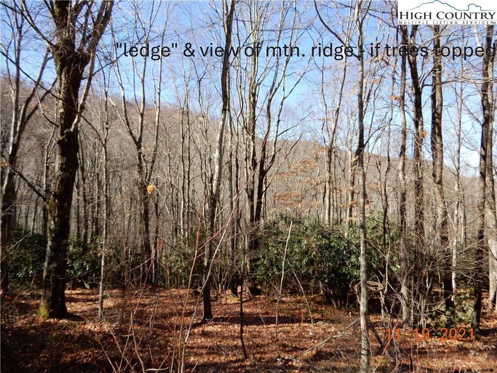 327 Locust Ridge Road Beech Mountain, NC 28604 - Photo 25 of 27 a view of a yard with lots of trees