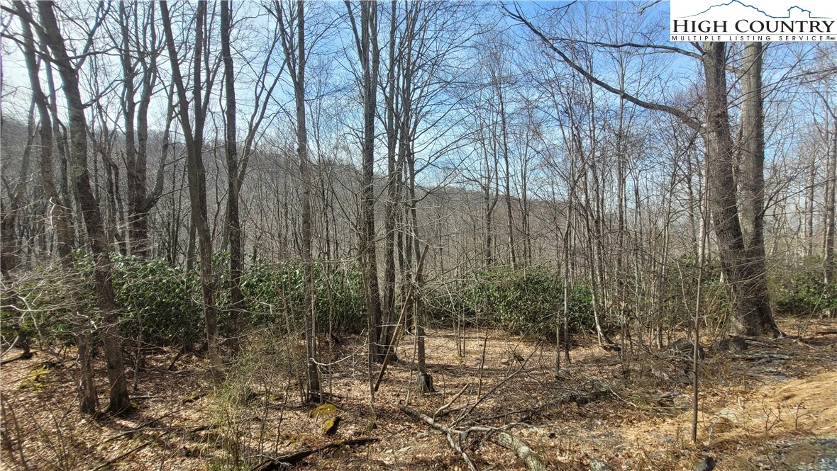 327 Locust Ridge Road Beech Mountain, NC 28604 - Photo 27 of 27 a view of outdoor space with lots of trees