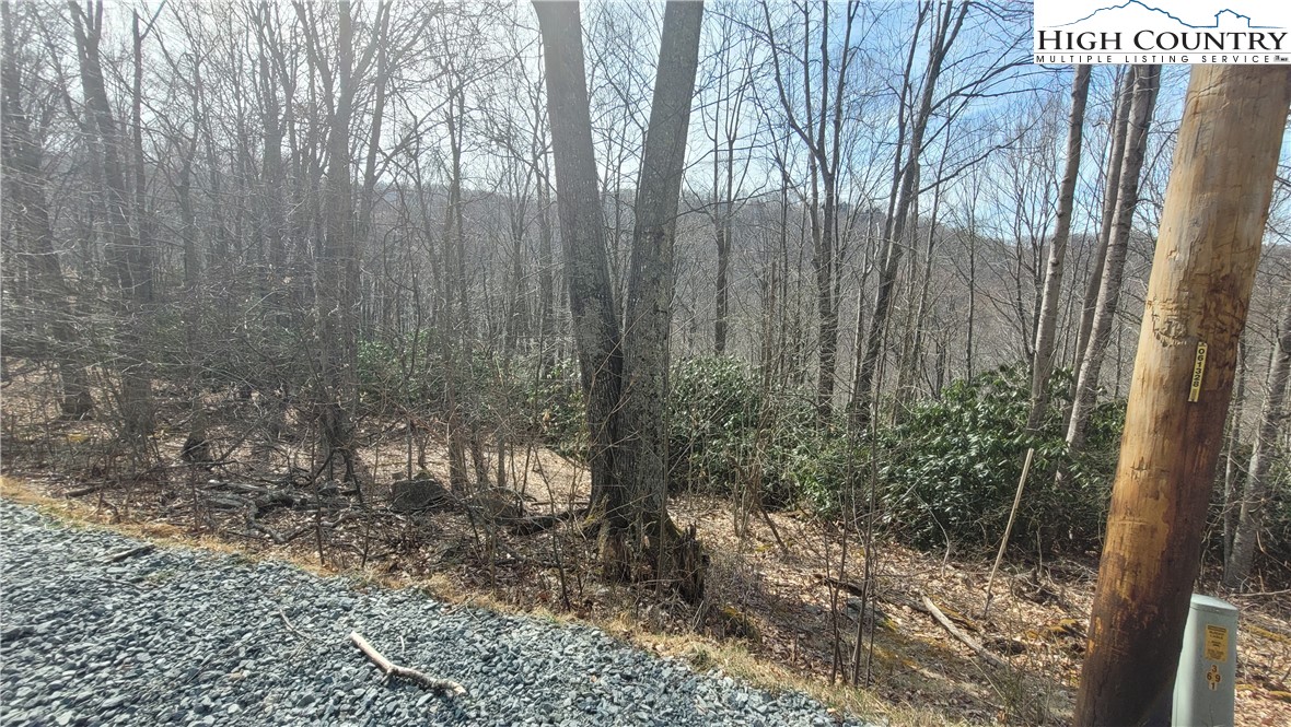 327 Locust Ridge Road Beech Mountain, NC 28604 - Photo 4 of 27 a view of backyard with tree
