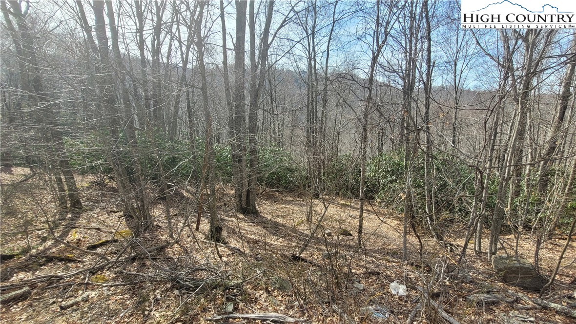 327 Locust Ridge Road Beech Mountain, NC 28604 - Photo 5 of 27 a view of a forest with trees in the background