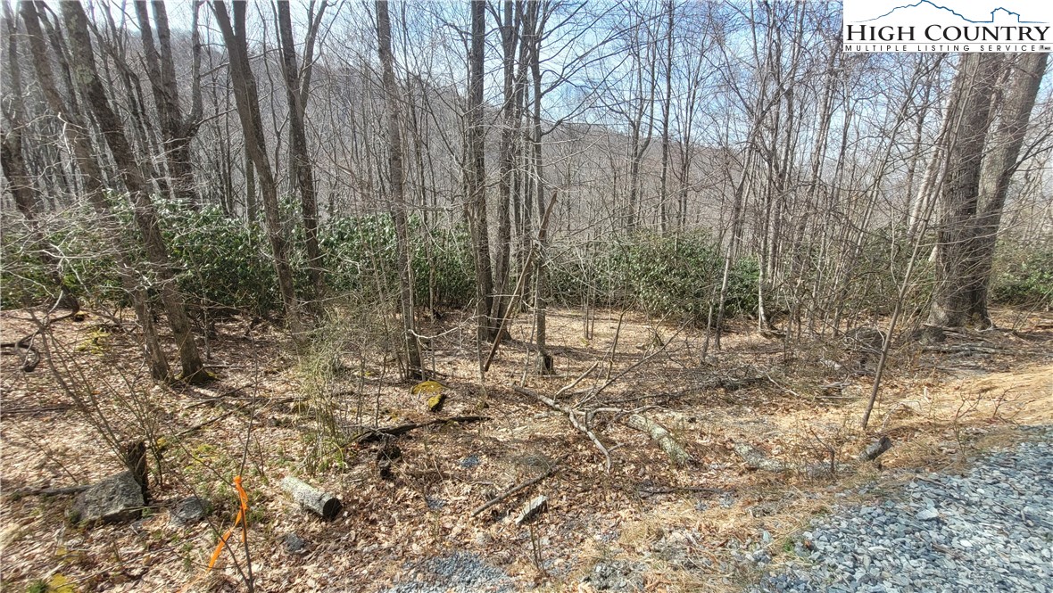 327 Locust Ridge Road Beech Mountain, NC 28604 - Photo 6 of 27 a view of a forest with trees in the background