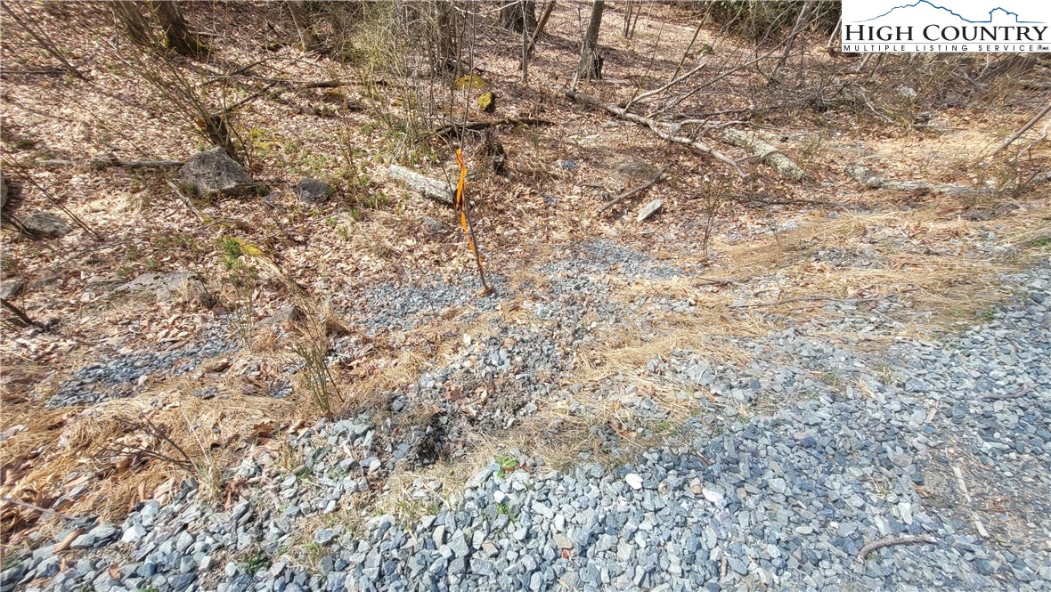 327 Locust Ridge Road Beech Mountain, NC 28604 - Photo 8 of 27 a view of a yard