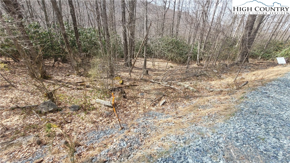 327 Locust Ridge Road Beech Mountain, NC 28604 - Photo 9 of 27 a view of a forest with trees in the background