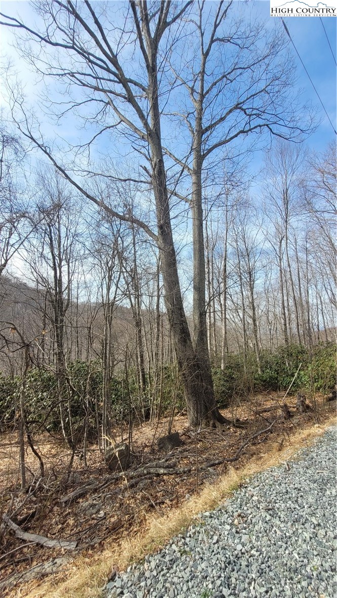 327 Locust Ridge Road Beech Mountain, NC 28604 - Photo 10 of 27 a backyard of a house with lots of green space