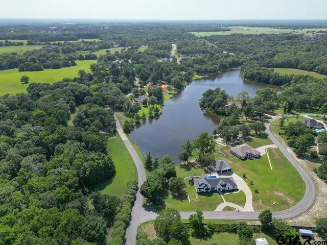 a view of a house with a yard and potted plants