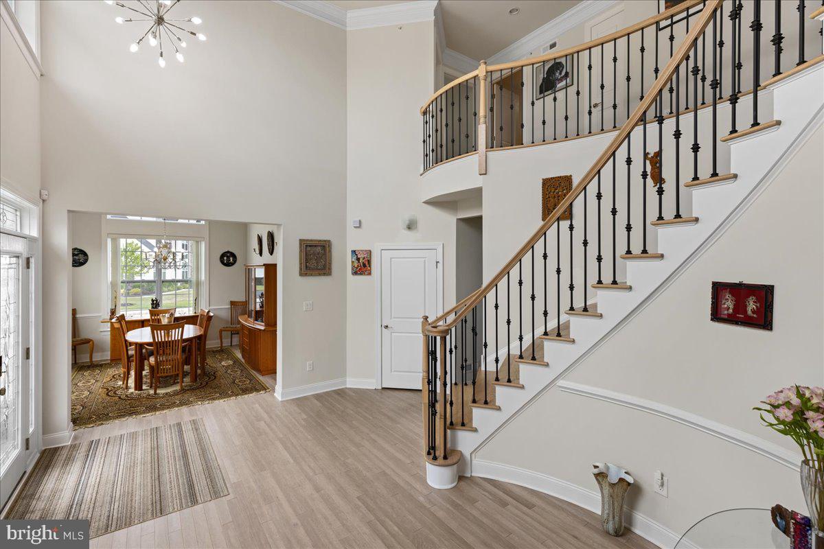 93 Lavender Drive Yardley, PA 19067 - Photo 5 of 47 Modern chandelier on a lift for easy cleaning