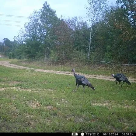 $625,000 | 1140 Bear Hollow Drive, Waverly, TN 37185