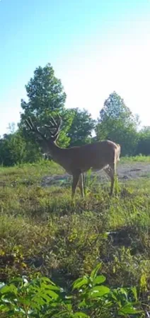 $625,000 | 1140 Bear Hollow Drive, Waverly, TN 37185