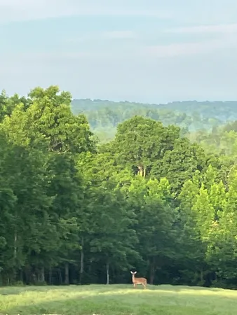 $625,000 | 1140 Bear Hollow Drive, Waverly, TN 37185