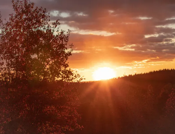 $625,000 | 1140 Bear Hollow Drive, Waverly, TN 37185