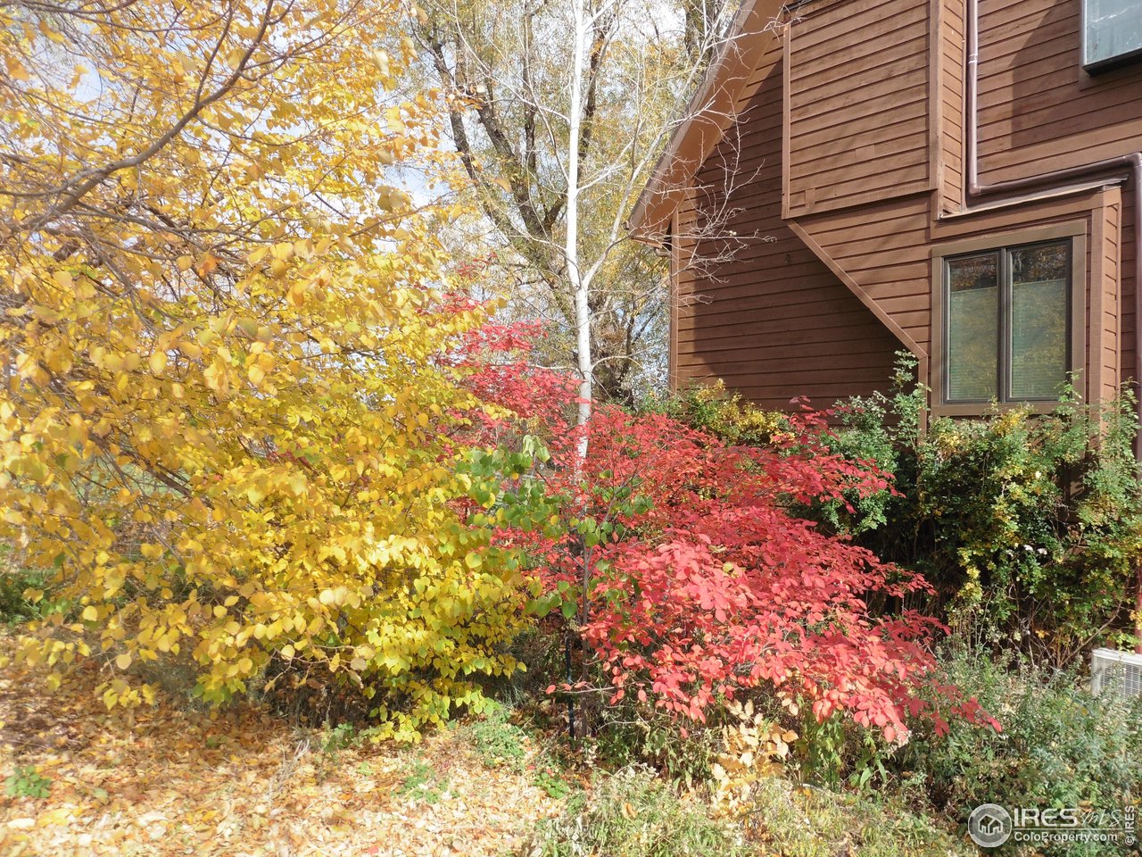 815 Alpine Avenue, Unit 4 Boulder, CO 80304 - Photo 27 of 27 a backyard of a house with lots of green space