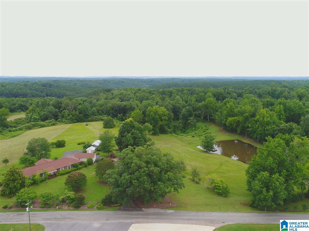 1670 Dutton Hill Road Oakman, AL 35579 - Photo 41 of 44