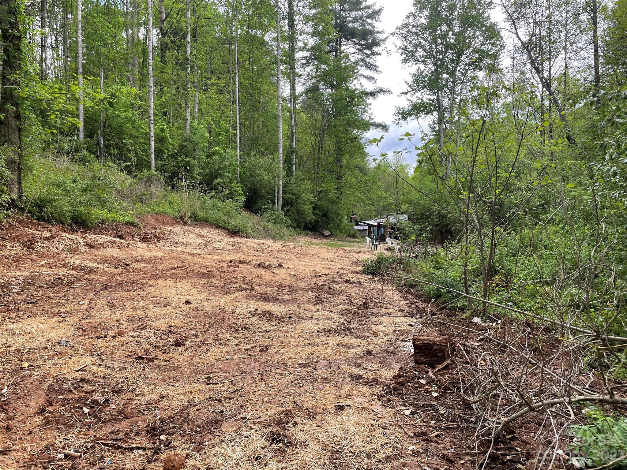 96 Sabbath Drive Old Fort, NC 28762 - Photo 12 of 25 a view of a dirt road with trees in the background