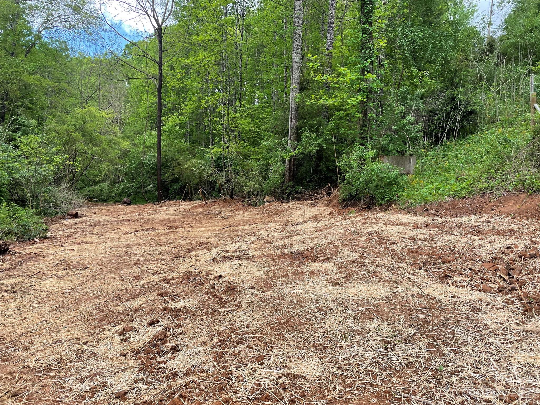 96 Sabbath Drive Old Fort, NC 28762 - Photo 2 of 25 a view of a dry yard with trees
