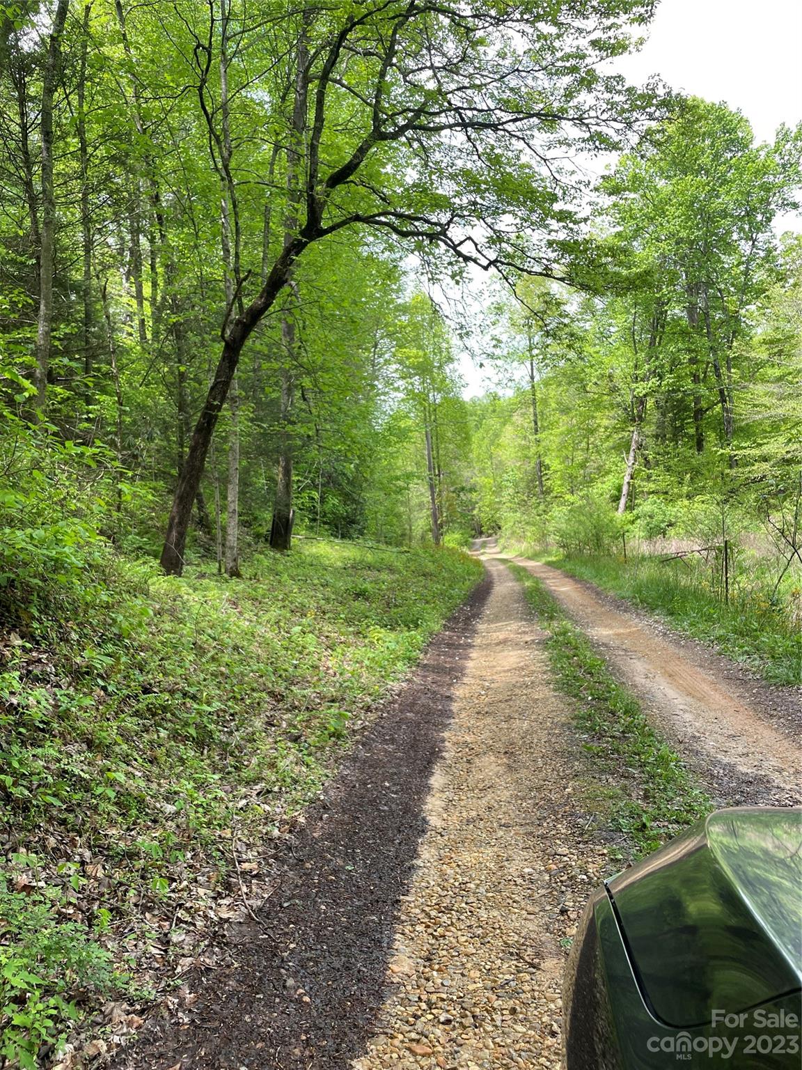 96 Sabbath Drive Old Fort, NC 28762 - Photo 23 of 25 a backyard of a house with lots of green space