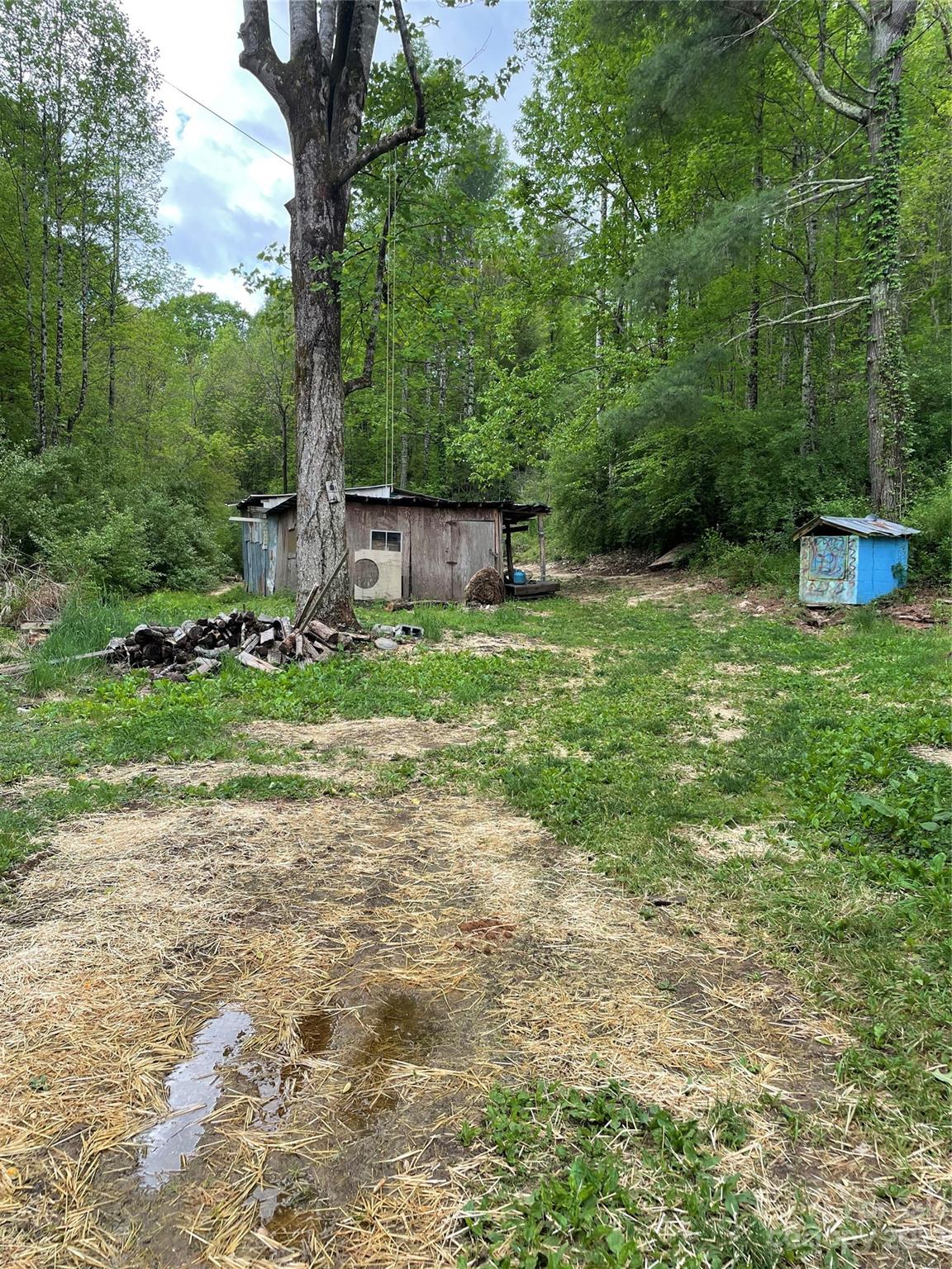 96 Sabbath Drive Old Fort, NC 28762 - Photo 6 of 25 a backyard of a house with lots of green space