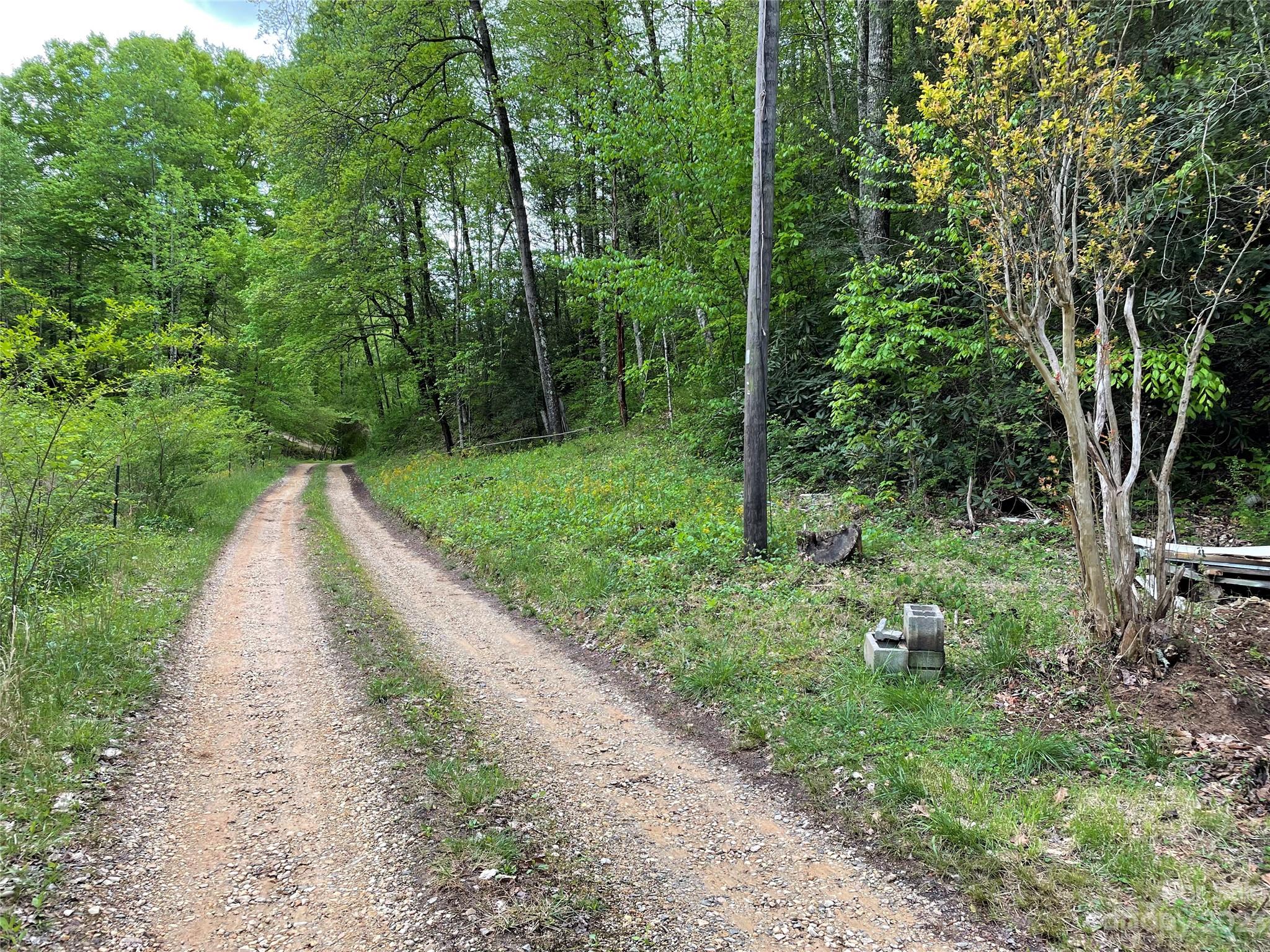 96 Sabbath Drive Old Fort, NC 28762 - Photo 10 of 25 a view of a garden with trees