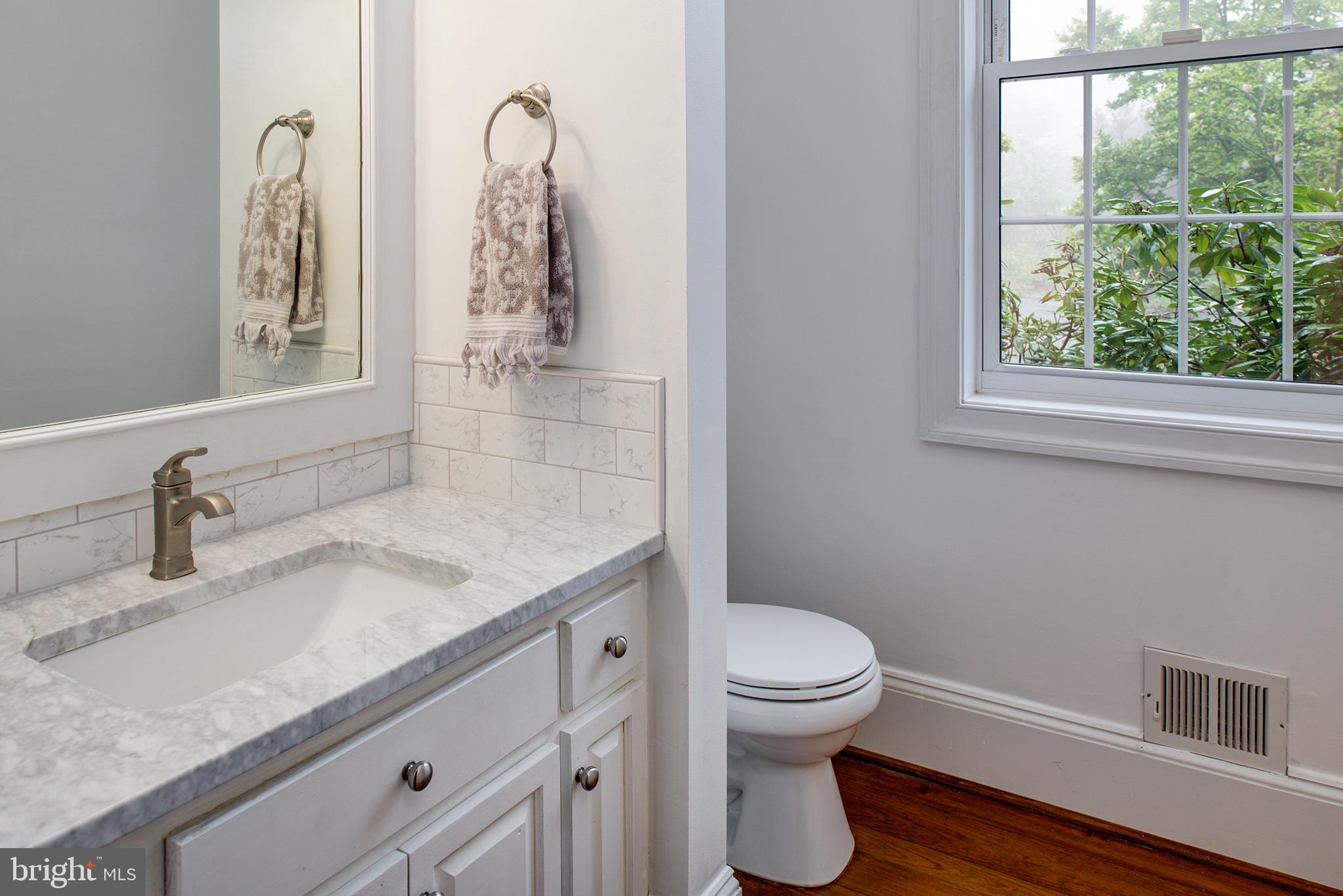 18388 Blue Ridge Mountain Road Bluemont, VA 20135 - Photo 22 of 86