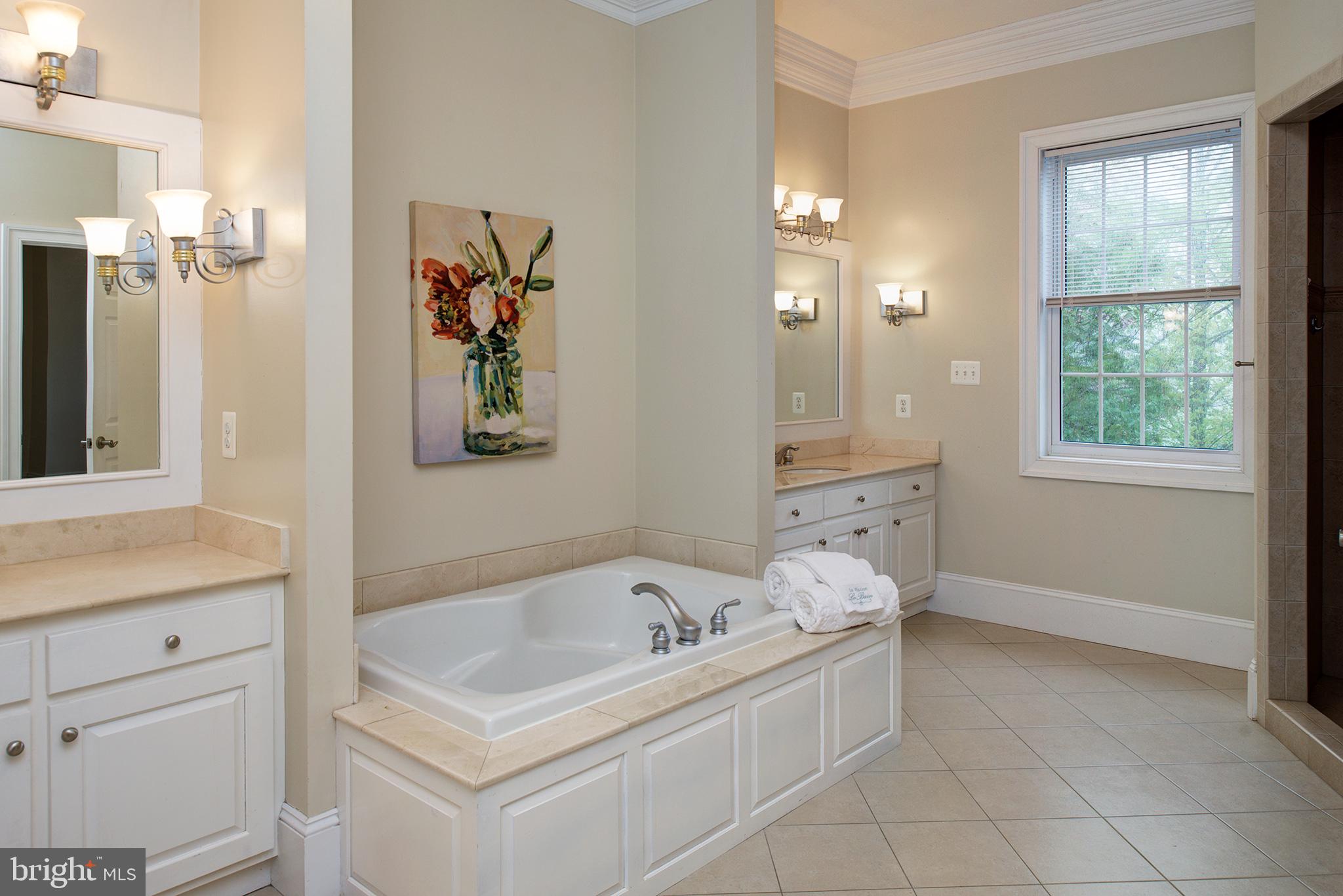 18388 Blue Ridge Mountain Road Bluemont, VA 20135 - Photo 25 of 86