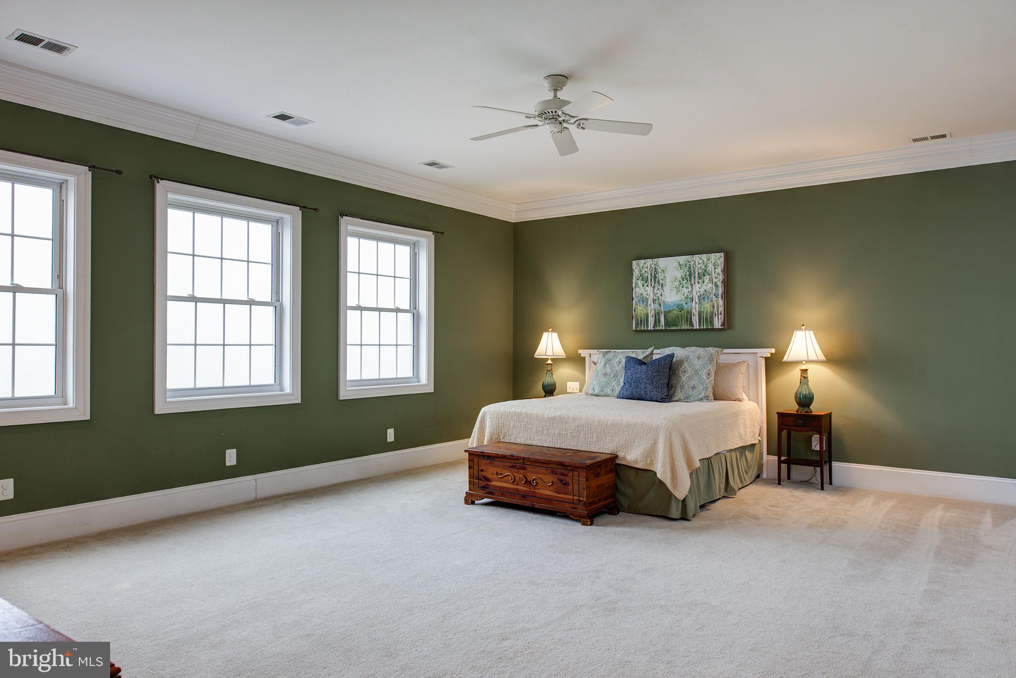 18388 Blue Ridge Mountain Road Bluemont, VA 20135 - Photo 28 of 86