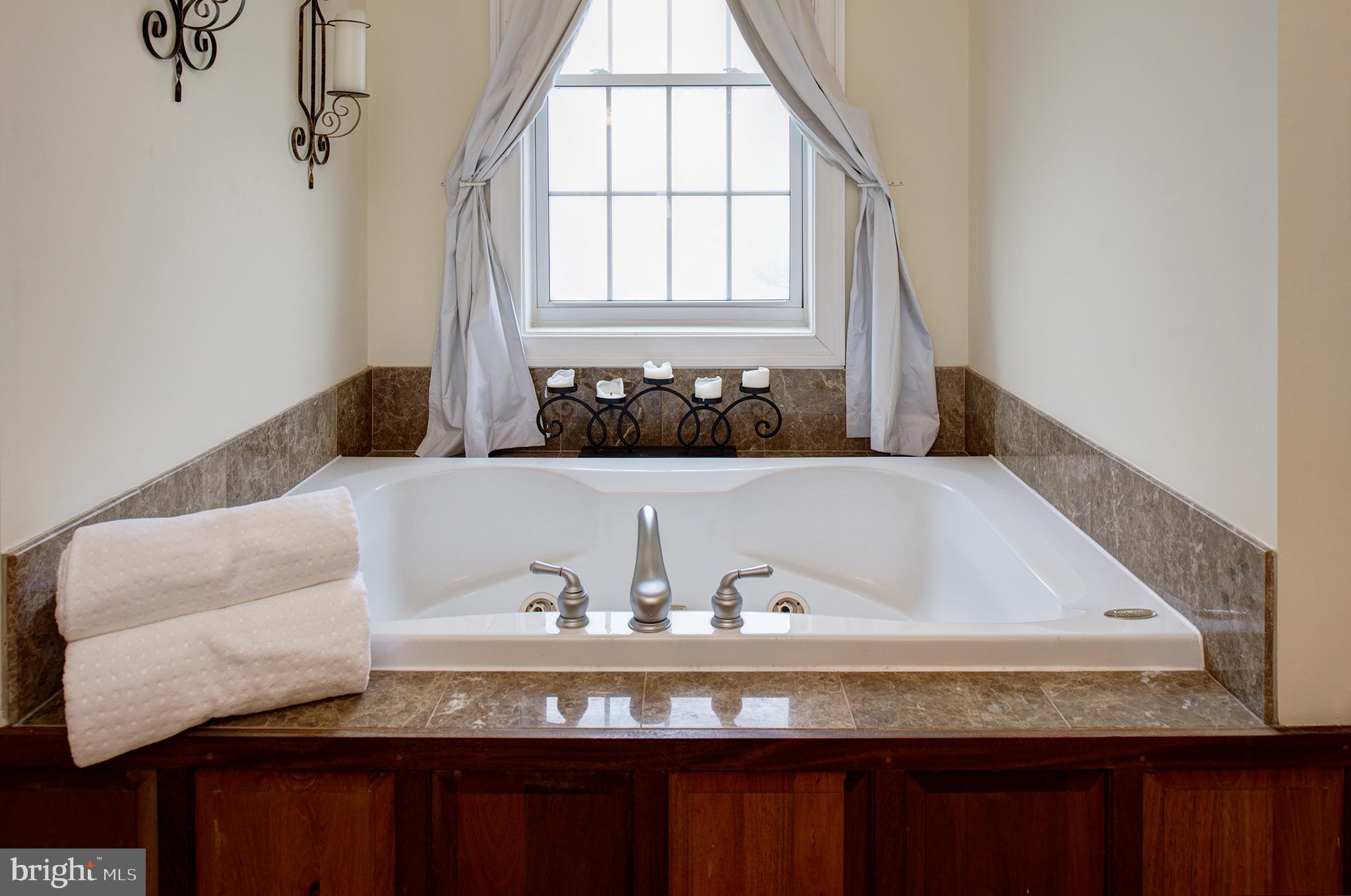 18388 Blue Ridge Mountain Road Bluemont, VA 20135 - Photo 30 of 86