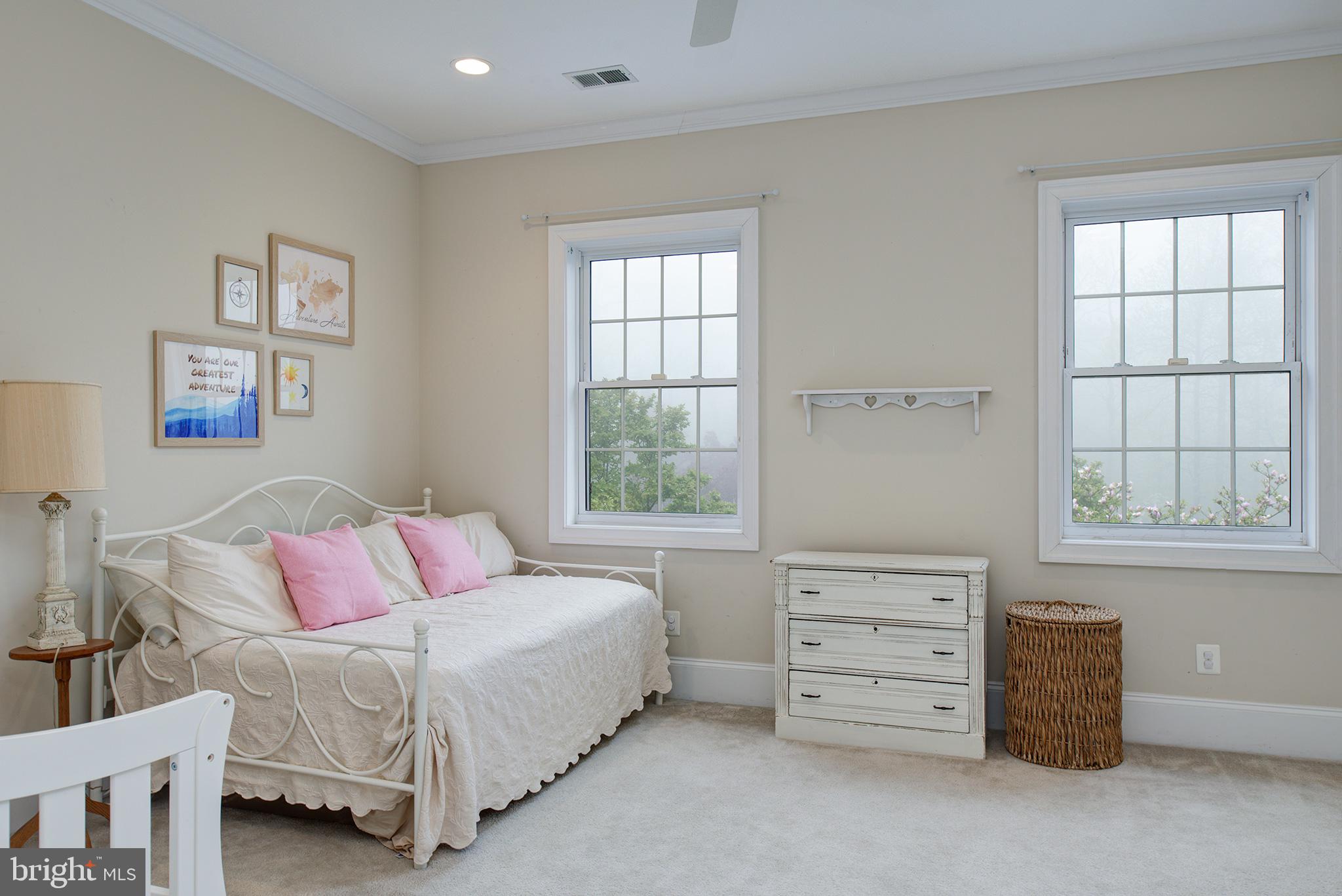 18388 Blue Ridge Mountain Road Bluemont, VA 20135 - Photo 33 of 86