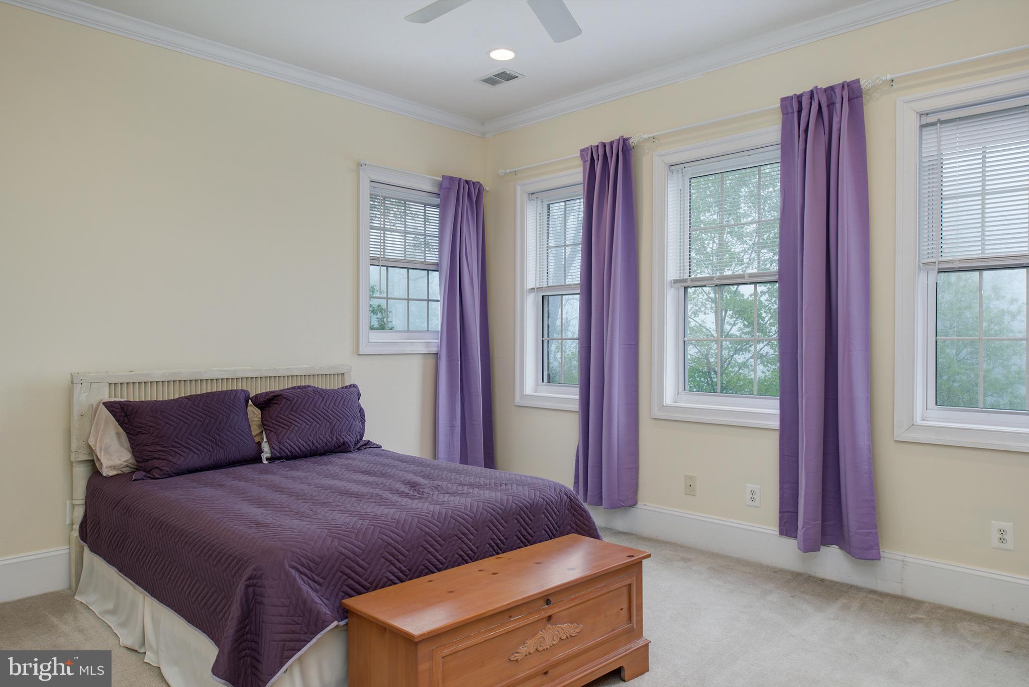 18388 Blue Ridge Mountain Road Bluemont, VA 20135 - Photo 35 of 86