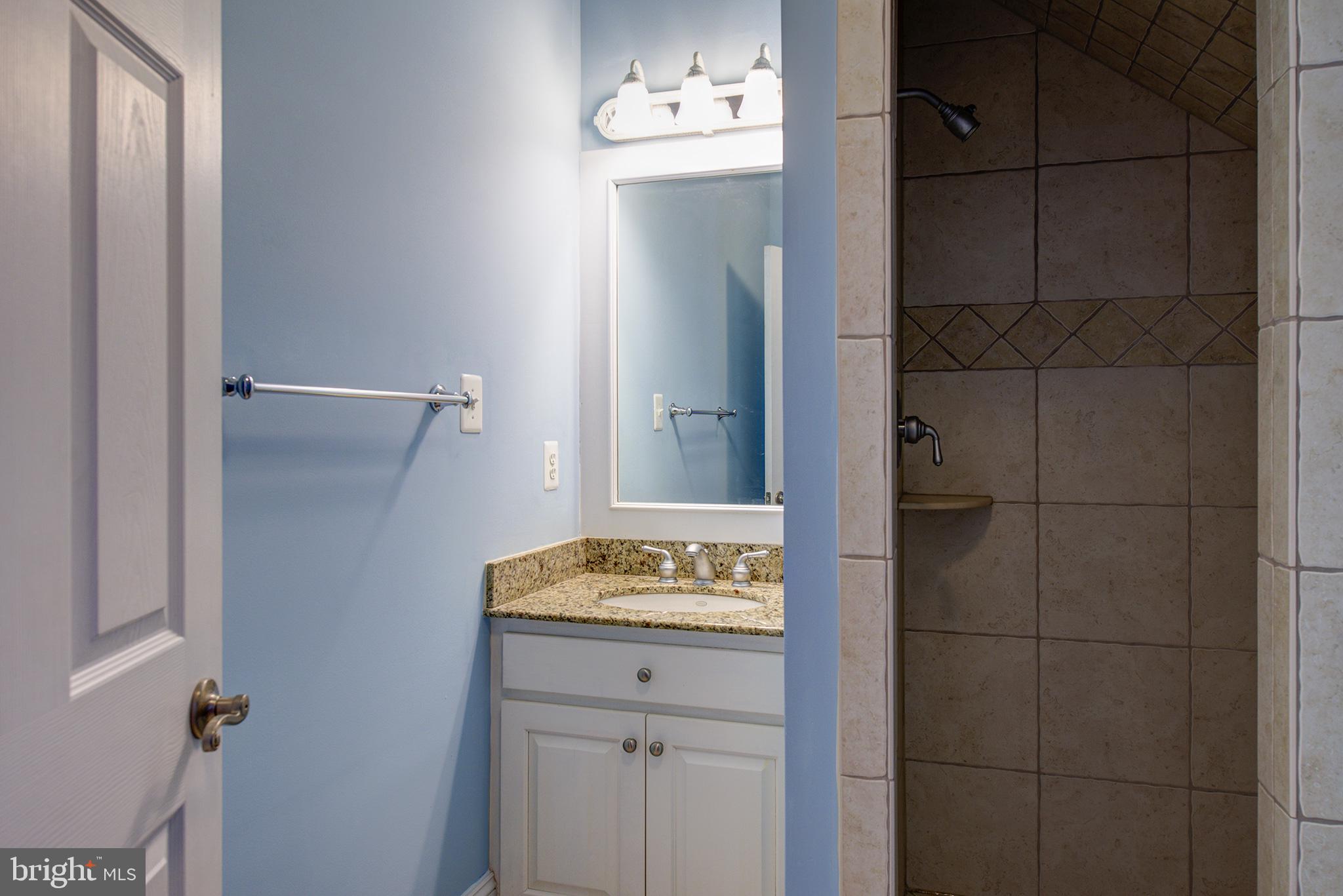 18388 Blue Ridge Mountain Road Bluemont, VA 20135 - Photo 41 of 86