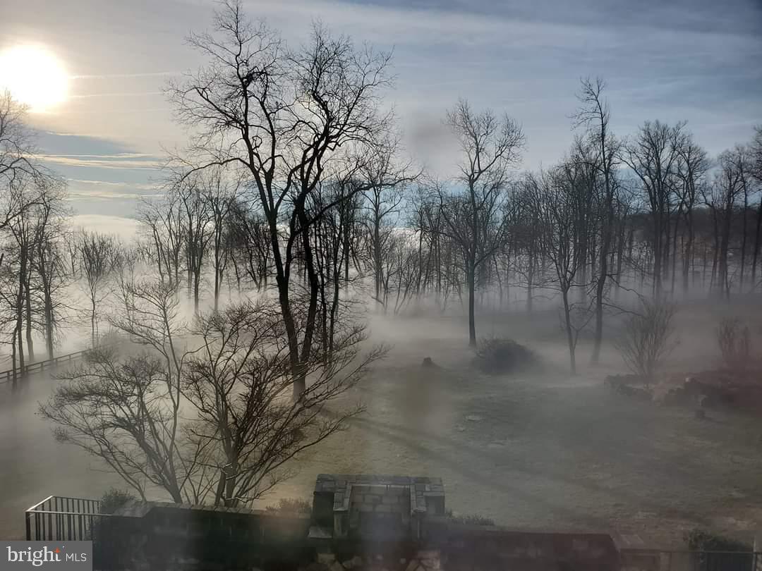 18388 Blue Ridge Mountain Road Bluemont, VA 20135 - Photo 54 of 86