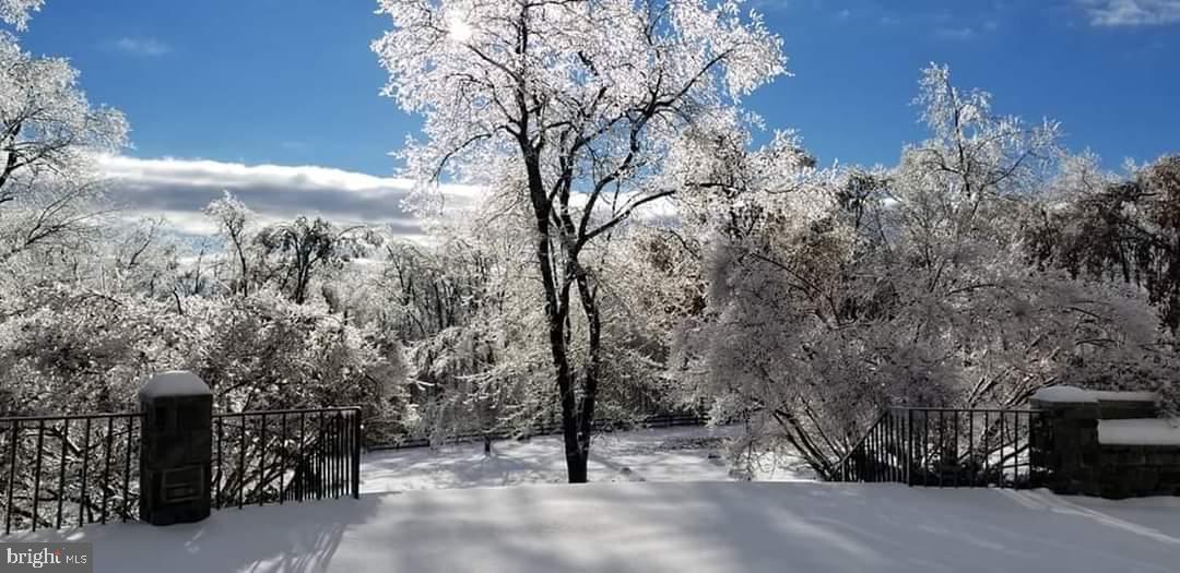 18388 Blue Ridge Mountain Road Bluemont, VA 20135 - Photo 56 of 86