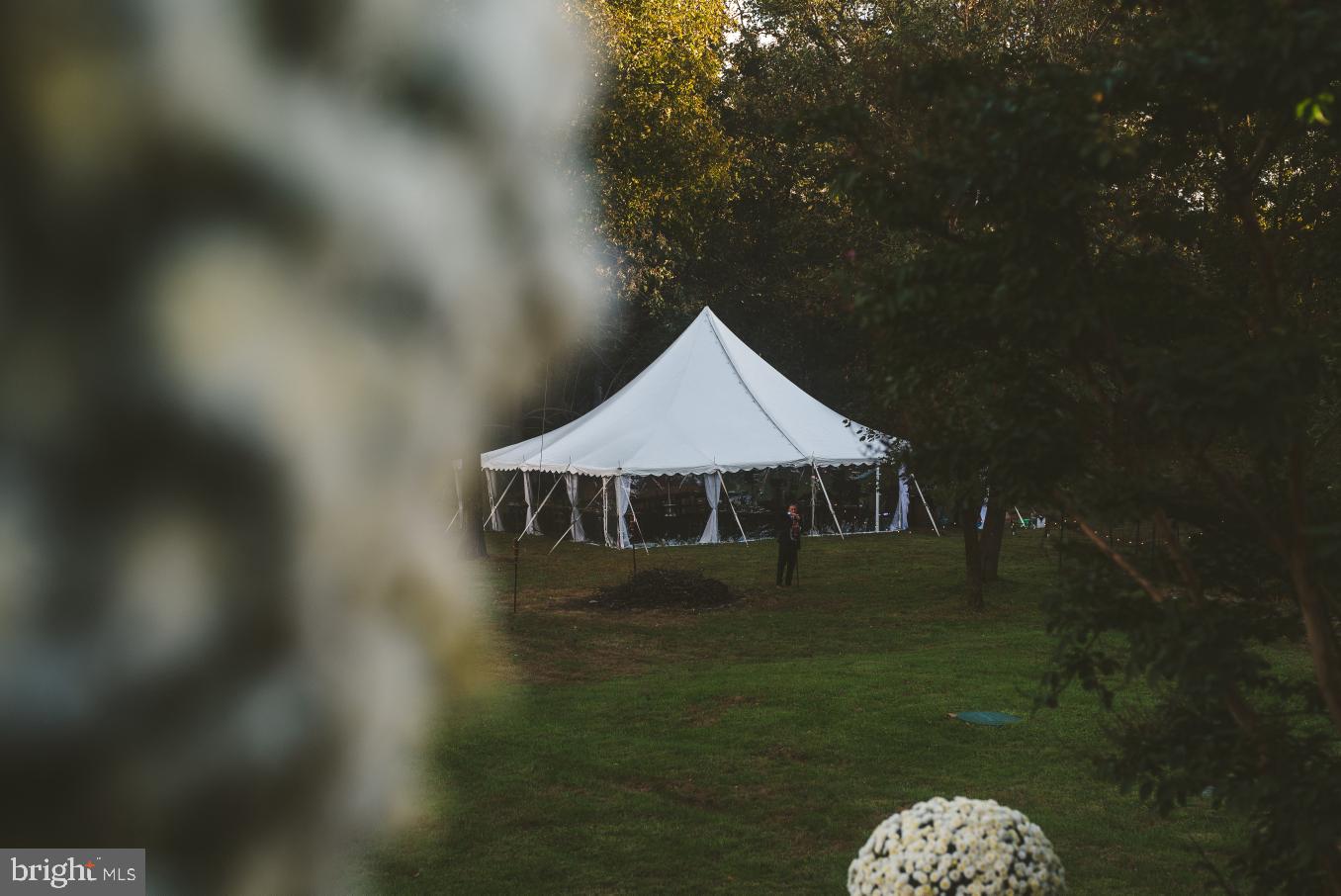 18388 Blue Ridge Mountain Road Bluemont, VA 20135 - Photo 58 of 86