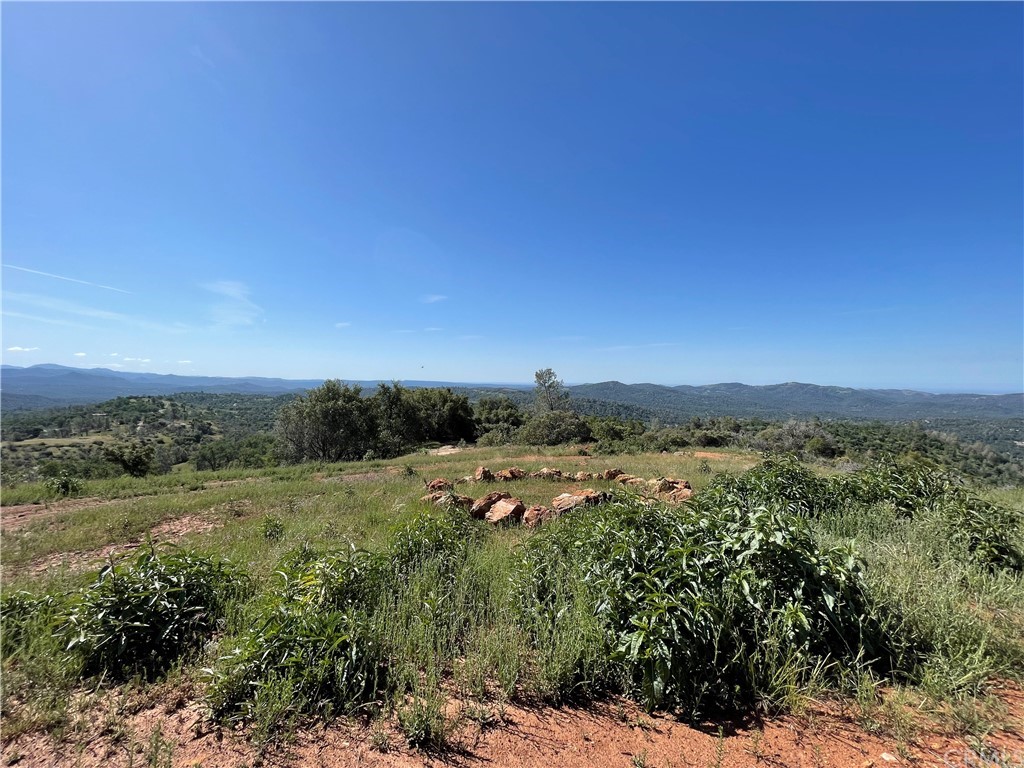 a view of a city with lush green forest