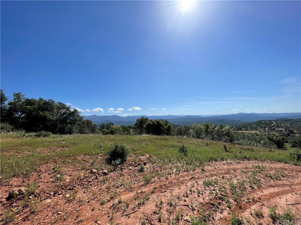 5231 B Allred Road Mariposa, CA 95338 - Photo 3 of 8 a view of a big yard with a large trees