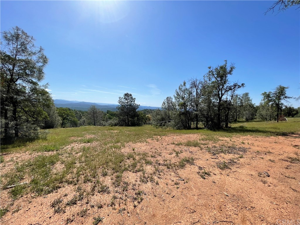 5231 B Allred Road Mariposa, CA 95338 - Photo 6 of 8 a view of a field with trees in background