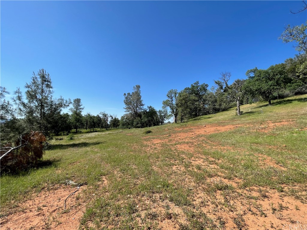 5231 B Allred Road Mariposa, CA 95338 - Photo 7 of 8 a view of a field with an trees in the background