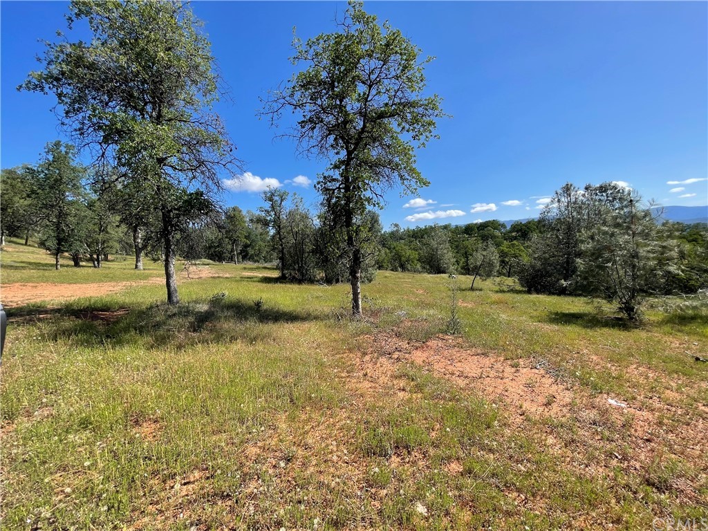5231 B Allred Road Mariposa, CA 95338 - Photo 8 of 8 a view of a park with large trees