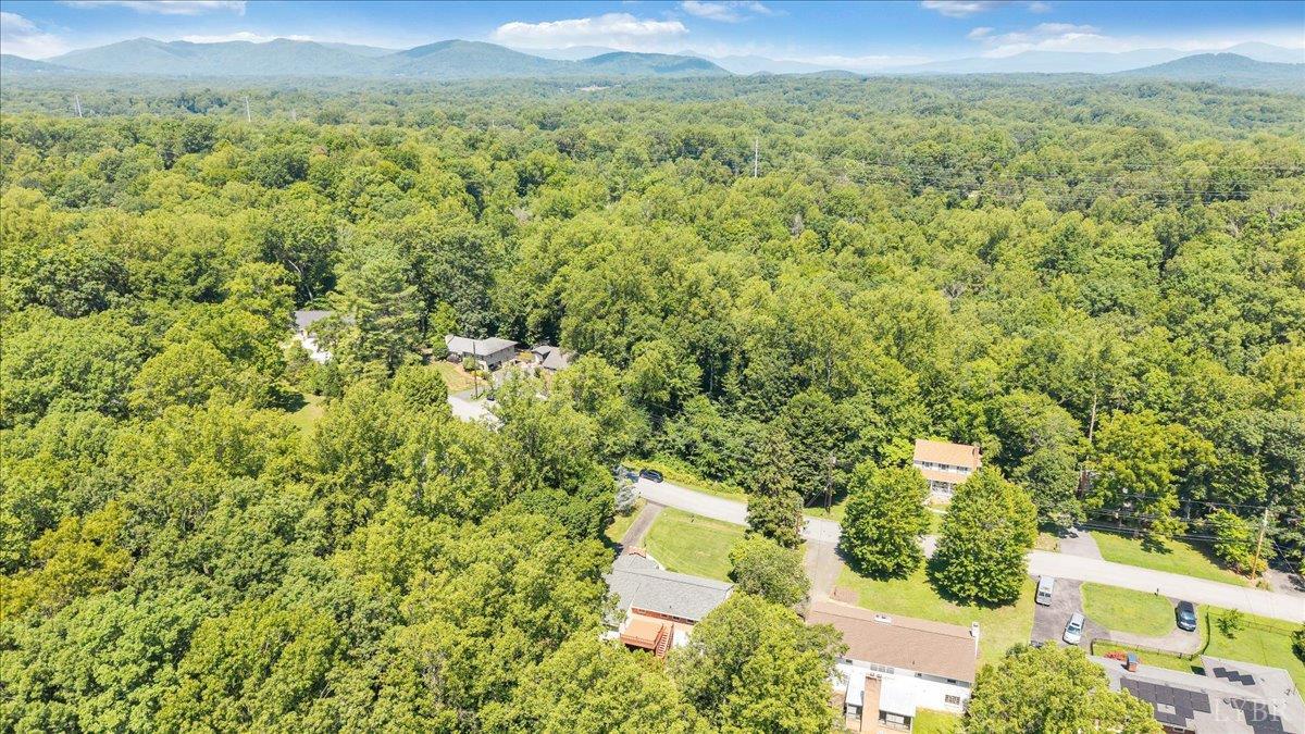 926 Rothowood Road Lynchburg, VA 24503 - Photo 74 of 81 Gallery Image 74