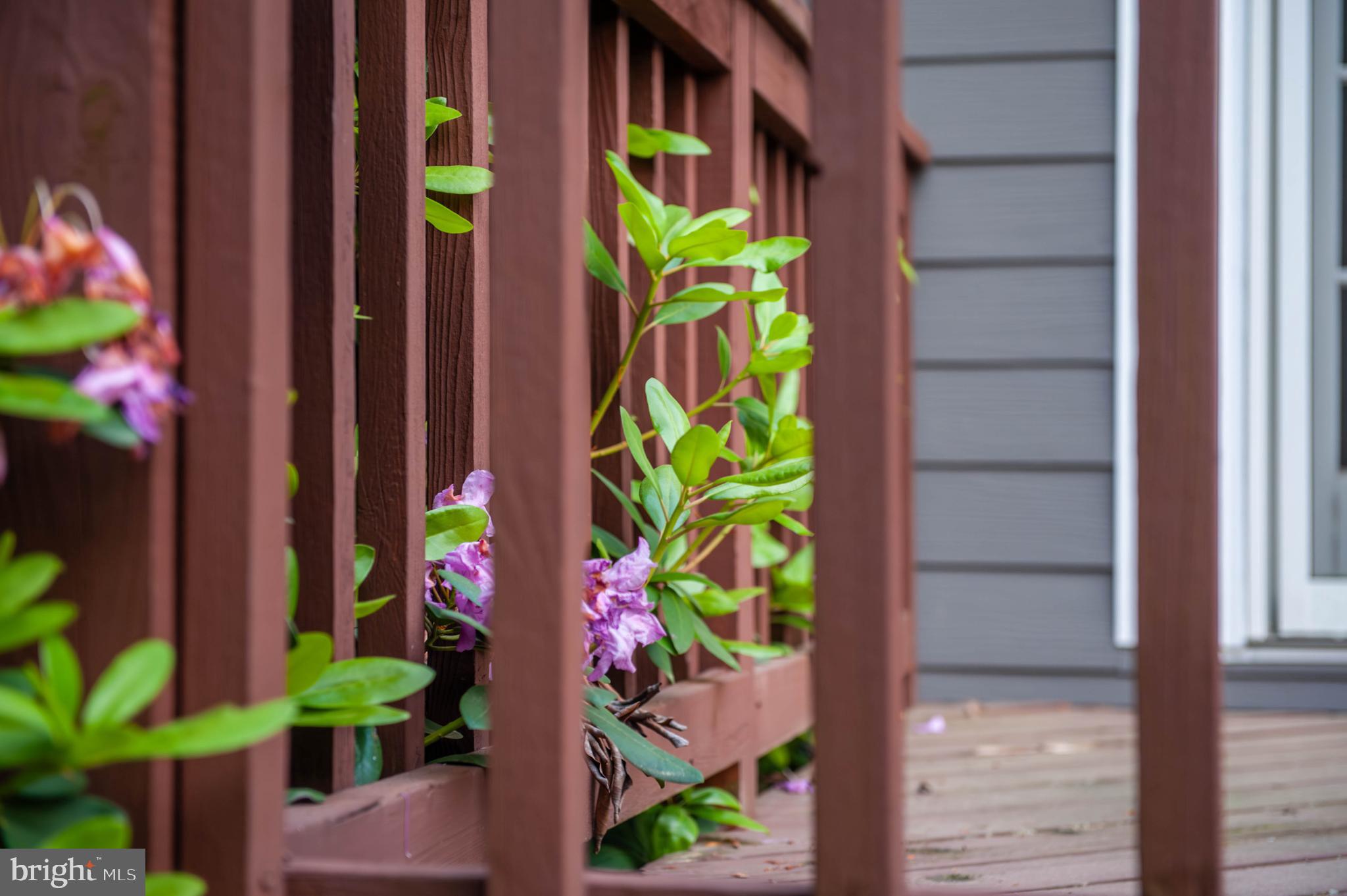 75 River Oaks Circle Pikesville, MD 21208 - Photo 26 of 34