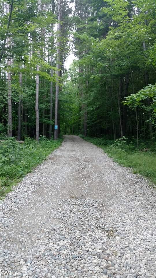 7150 Phillips Road North Street, MI 48049 - Photo 12 of 31