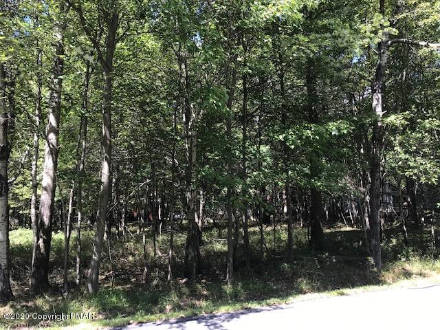 a view of a yard with trees